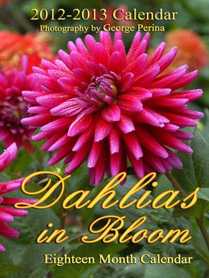 cover image of Dahlias In Bloom